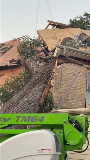 Huge tree removed from Neenah, Wisconsin, home after EF-3 tornado