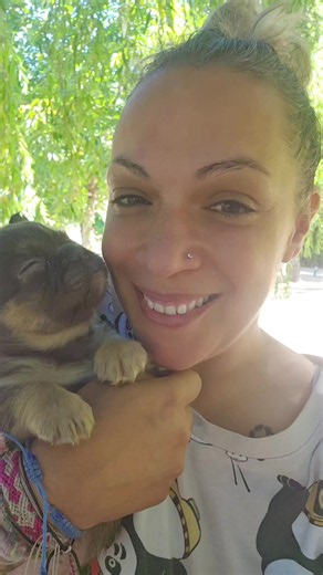 Adoption de chiots Bouledogue Français : Coco et Barnabé