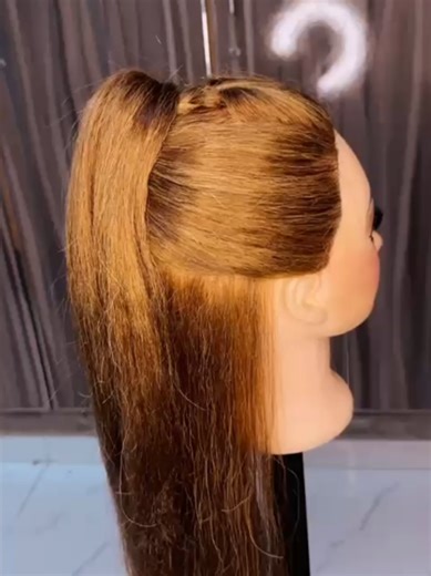 Trendy Half-up Pony Tail Hair Tutorial