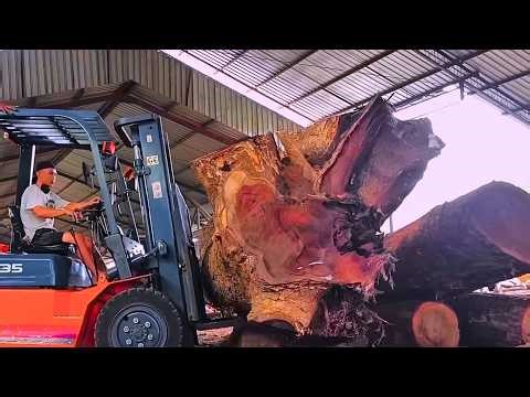 Giant Wood Processing Factory Processes Thousand Year Old Trees | An Amazing Sight