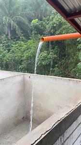 Our 59,400 liter rain water reservoir for our new building. C&L Piggery is now going big! ❤️ Thank you for the love and support. 🫡 #C&L #Piggery #Pigs #Pigfarm #newbuilding #expansion #fattening #fatteners #markethogs #production #baboy #fyp #fypviral #viral | C&L Piggery