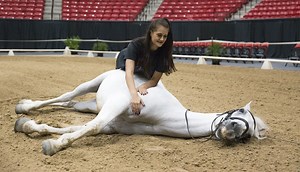 Royal horses gallop into South Point Arena — VIDEO