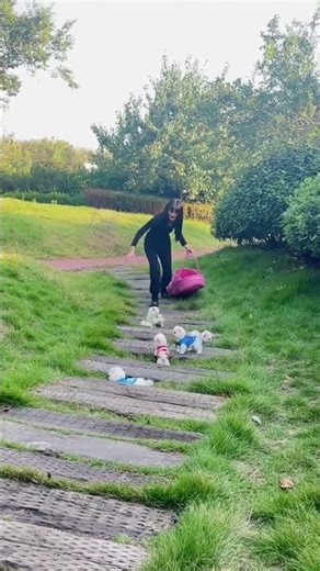 #All My Pets, One Big Hug#Caught with a Handful of Happiness#Fluffy Squad Goals,part,041