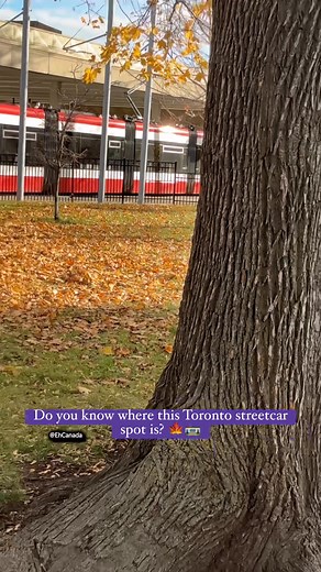 12K views · 98 reactions | Do you know where this Toronto streetcar spot is?  Fall colours, quiet park vibes, and TTC streetcars rolling by in the background  If you really know Toronto, you can name this exact spot just from the tracks, the yard, and that big tree. #TTC #TorontoStreetcar #FallInToronto #TorontoTransit #ExploreToronto #EhCanada #StreetcarVibes #CityOfToronto | EhCanada | Facebook