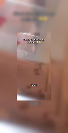 Funny Rat Slap Meme Compilation