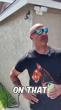 Doberman Breeding: Preservation vs. Protection Work #shorts