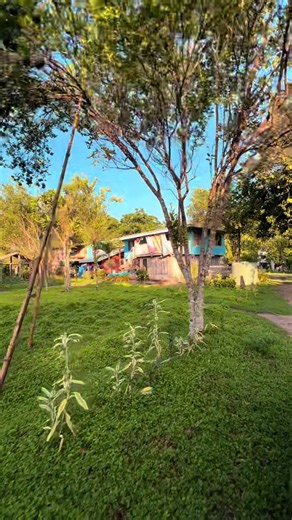 📍Numbu, North East Guale #rurallife #solomonislandstiktok🇸🇧 #guadalcanal #fypシ