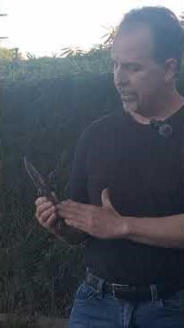 Tactical Folder for Gutterfighting#combatives #Gutterfighting#knifereviews#coldsteel#kenpo#shtf