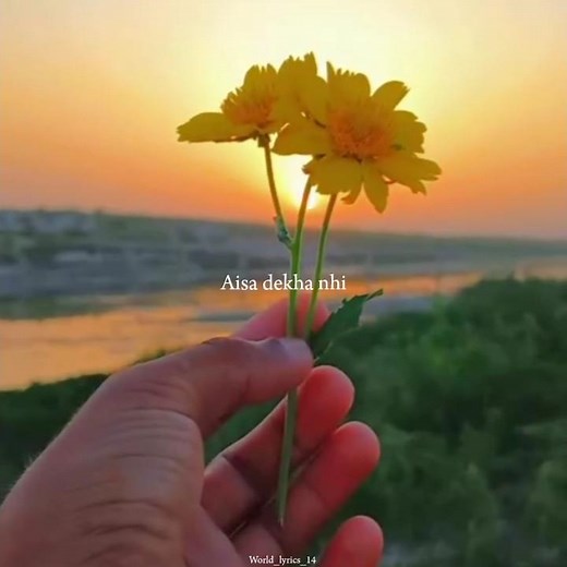 Aisa dekha nahi khubsurat koi 🤍 | Afreen afreen | #love​ #songlyrics​ #music​ #explore​ #shorts​