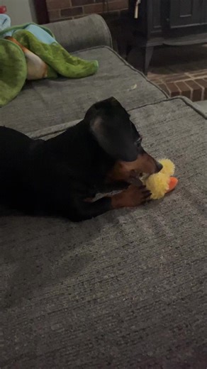 ❤️❤️❤️ @Adyson | addison rae dancing jimmy fallon