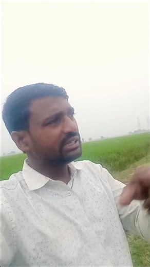 chhathi mai/chhat puja#new chhat puja song#shorts video#trending video#viralshorts