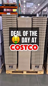 13 reactions | Costco’s Iris WeatherPro containers are now $6.49 with $1.50 off, and they’re built to handle real storage situations. Think off-season clothes, cables, tools, or toys—all protected from dust and damp—tag someone who needs to declutter this weekend. #costcofinds #costcowonders #costcoinfluencer #costco #irisstorage #storagehacks #declutter #organizationtools #weatherpro #costcodeals | Costco Wonders | Facebook