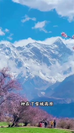 发现中国最迷人的春天，只需三天！自驾游318国道