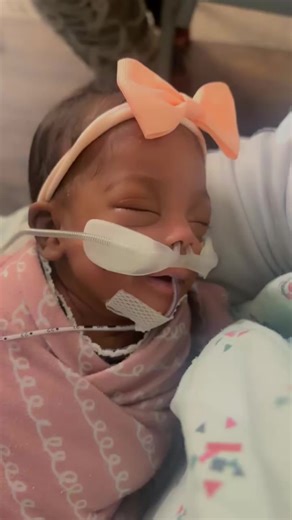 Kaizley's Journey: 8 Weeks of Strength and Progress