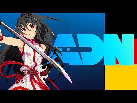 ADN review: Is a subscription already worthwhile?