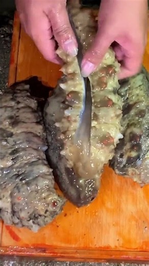How to Clean and Prep Fresh Sea Cucumber Like a Pro! 🌊🔪