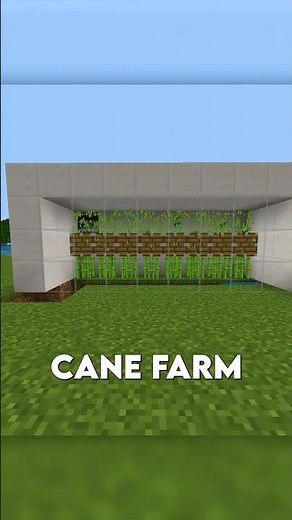 Automatic Sugarcane Farm in Minecraft 🌱 | Easy & Efficient Tutorial #minecraft #farm #redstone