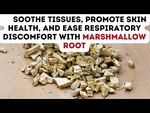 12 BENEFITS OF MARSHMALLOW ROOT FOR HEALTH