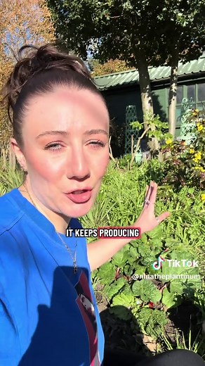 How to Propagate Rhubarb & Revitalize Your Plant