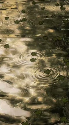 Peaceful Rain Puddle with Floating Leaves 🌧️ Aesthetic Live Wallpaper 4K