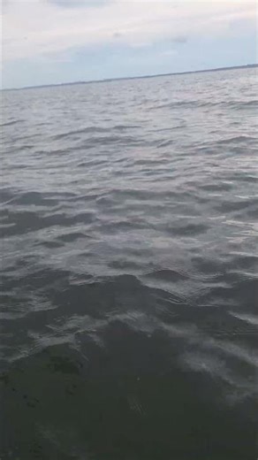 Água linda do Tocantins.