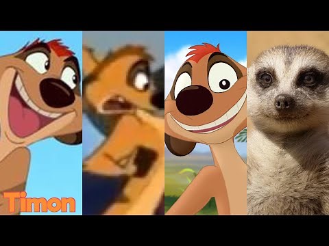 Timon (The Lion King) | Evolution In Movies & TV (1994 - 2022)