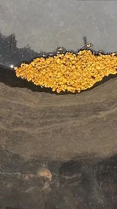 Using Alibrite to clean gold is a method some prospectors turn to when scrubbing with soapy water isn’t enough. Gold straight out of the ground often carries iron staining, clay, quartz residue, or mineral coatings that hide its true colour and character. Alibrite works by breaking down those surface contaminants, allowing the natural gold to stand out without physically damaging it. One of the advantages of using alibrite is that it targets the unwanted material rather than the gold itself. Gol