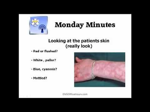 EMS Patient Assessment | Skin