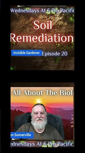 Understanding Soil Remediation Process