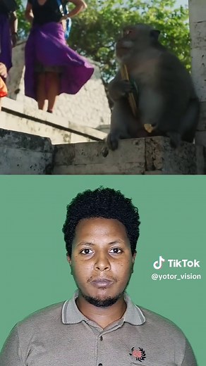 yotor vision on TikTok