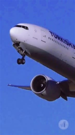 Captivating Nighttime Scenes: Airplanes, Roses, and Beaches