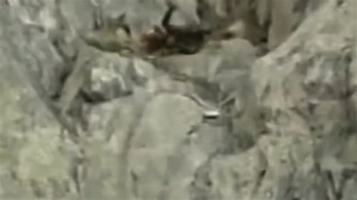 K2 trekkers on Instagram: "Mount Everest may be the highest peak on Earth, but it’s far from the hardest. Its real difficulty comes from extreme altitude, brutal cold, unpredictable storms, the Khumbu Icefall’s collapsing seracs, and the ‘Death Zone’ above 8,000m where the human body slowly shuts down. Success isn’t about strength — it’s about endurance, judgement, and survival. Video credit @vinnieexplores 🌐www.k2trekkingandexpedition.com 📱 +92 3181536825 #mounteverest #mountaineering #hiking