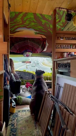 Exploring Bus Life: A Summer Road Trip Adventure