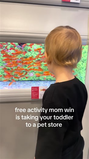 Fun Mini Aquarium Visit for Toddlers