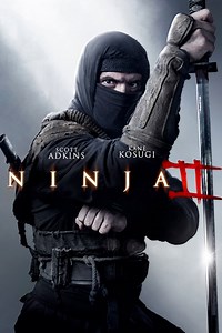Ninja 2: La sombra de la muerte | Películas y Series La Vanguardia