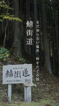 まだ知らない福井｜時をたどる旅「鯖街道」 #shorts