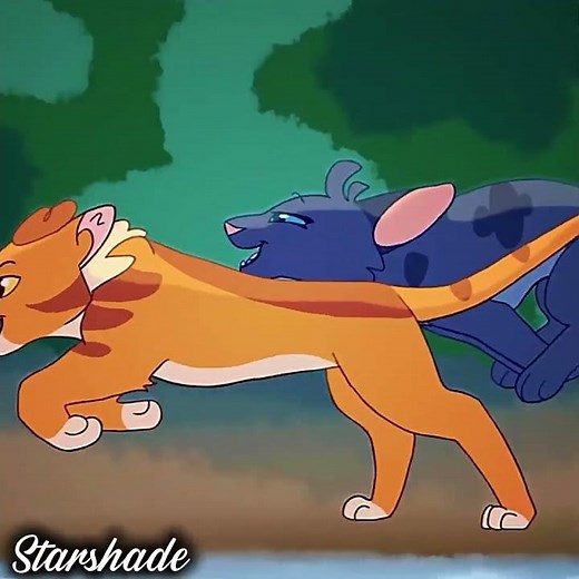 Quick lionblaze and Cinderheart edit credits to TennelleFlowers for the animations! #warriorcats