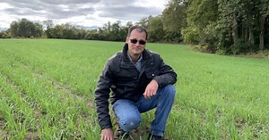 Soil School: Cover crops improve soil health and manage wildlife