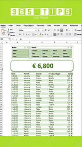FILTER WITH STYLE #tutorial #exceltips #tipsandtricks #learnexcel #reels #fyp #exceltricks #reelsfb #fbreels #reelsfbviral | 365 Tips & Tricks