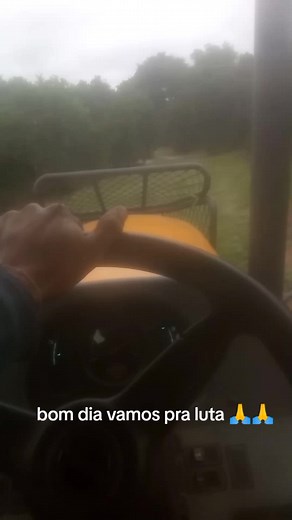 Os vídeos de Julio José (@juliojose442) com som original - NeloreModelo