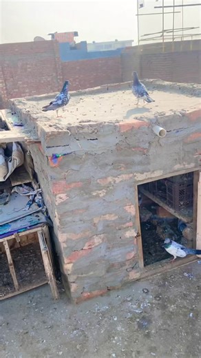 Traditional Pakistani Wedding Dresses Beautifully Showcased