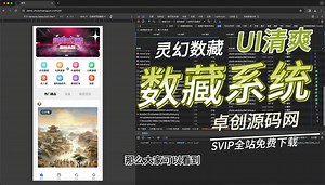 全开源无加密数字藏品系统源码搭建教程，全程干货建议看完（卓创源码网）