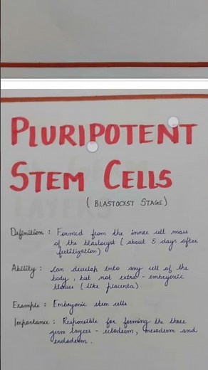 Stem Cell Differentiation in 1 Minute! 🧫✨ #BiologyShorts | PART 1