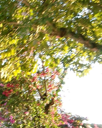 Valenbonita🫦 | gracias kendall jenner por: | Instagram