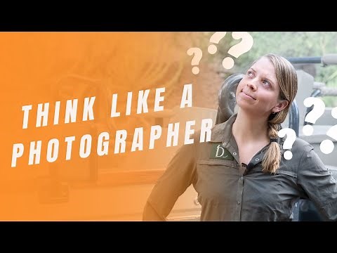 In The Mind Of A Wildlife Photographer: In The Field With An Expert