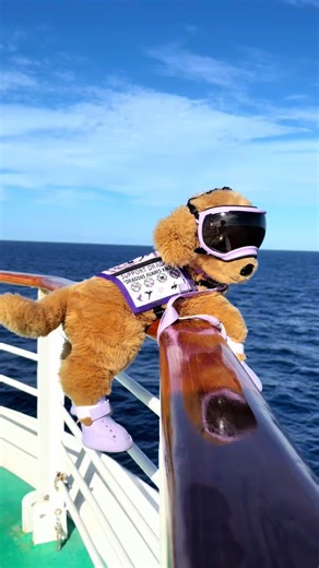 2026 for the essa community!! #mavenofthecatalyst #essa #essacommunity #fyp #2026 Custom vests are from mochis creations gear shop. Mention MCCOM4RT to her for your own custom gear to be less!! And shout out to all my people who I loved. You guys have really pulled me through this year @Savannah @mochis_creations_ @♥️~[♣️Caspian Fisher♦️]~🖤 @Eurydice @Canadian ESSA @☆🎄ƈʅσʋҽɾ❄️☆