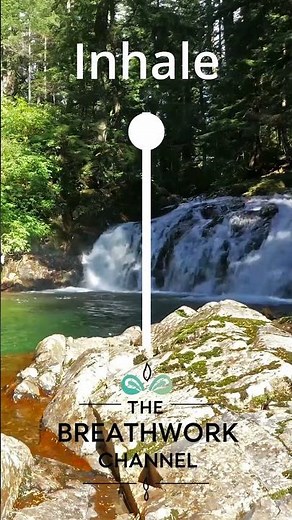 Cardiac Coherence Breathing #breathingexercises #heartratevariability