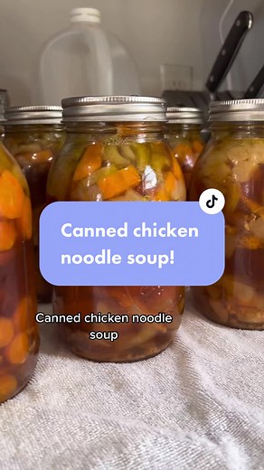 Homemade Pressure Canned Chicken Noodle Soup Recipe