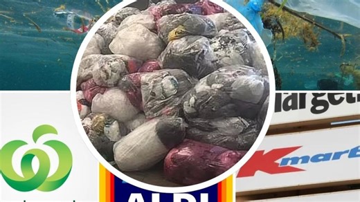 Grim extent of collapsed recycling scheme exposed