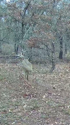 March 10th Still Holding In Oklahoma